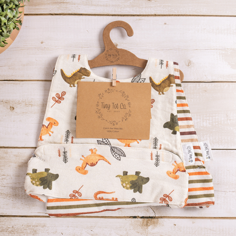 Everyday Duo - Dinosaur and Multi-colored Stripes